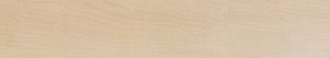 maple wood sample