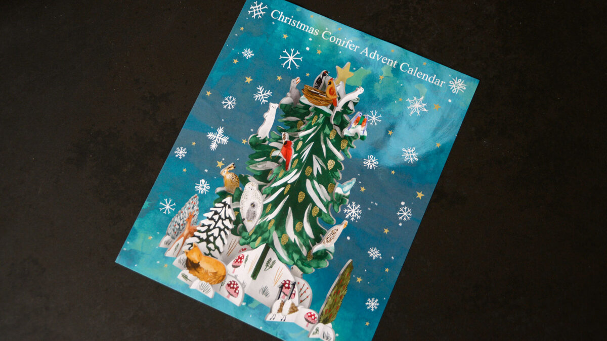 3D Advent Calendar - Woodland Scene - Image 6