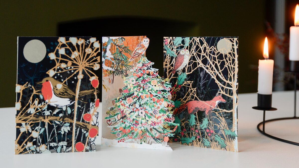 Laser Cut Christmas Card Multipack - Wild Winter Designs