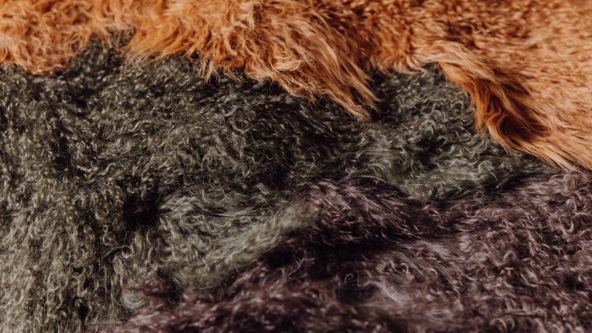Tibetan Fine Sheepskin Throws - Image 5