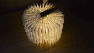 maple-book-light-open-360