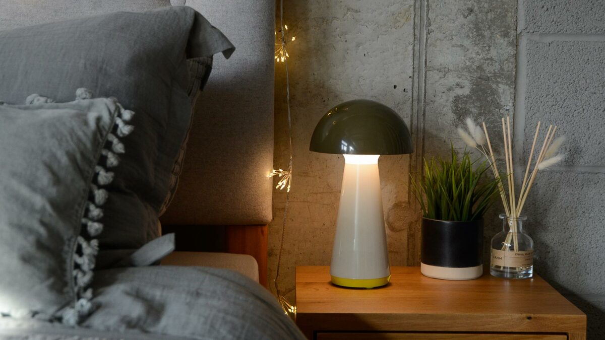 Portable Mushroom Table Lamps - Image 10