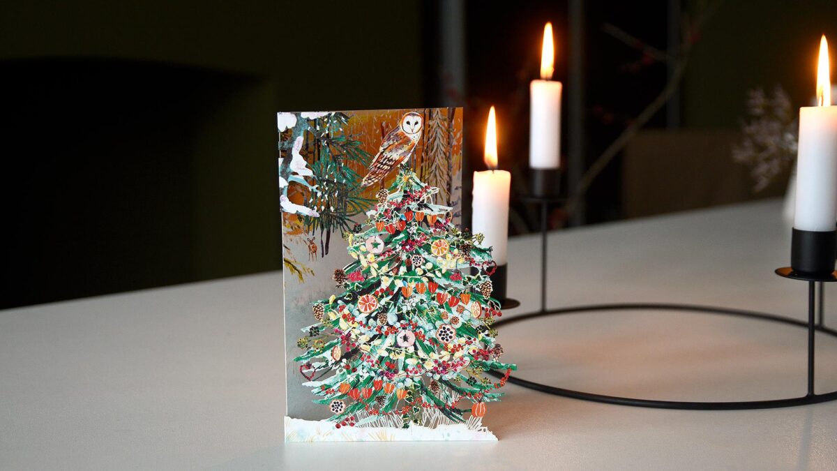 Laser Cut Christmas Card Multipack - Wild Winter Designs - Image 4